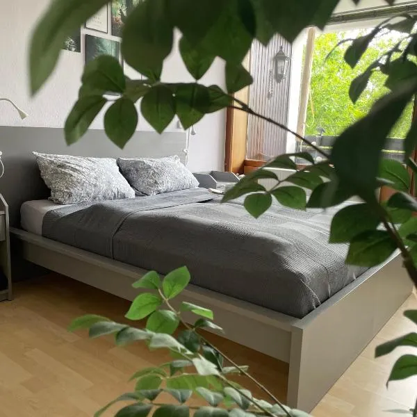 Ferienwohnung in Freudenstadt-Kniebis II，位于弗罗伊登施塔特的酒店