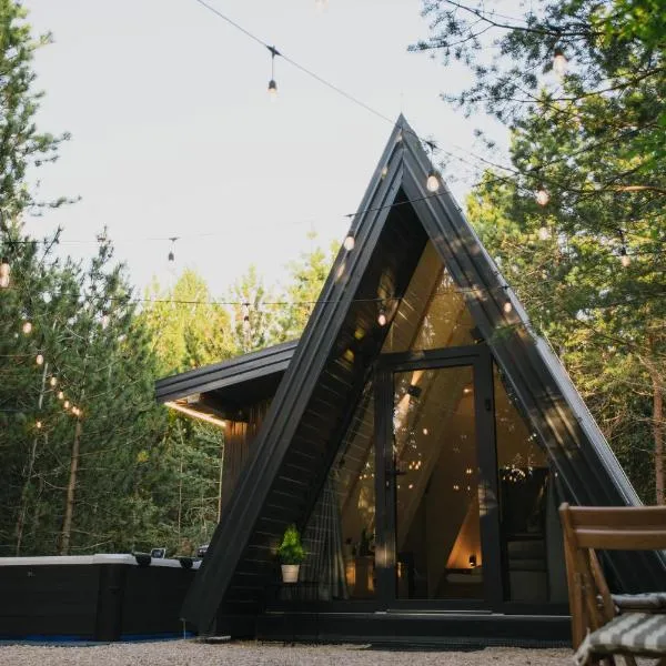 Pinelle Blidinje A-Frame House，位于Risovac的酒店