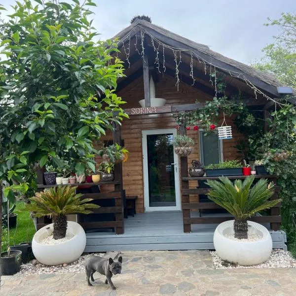 Cabana Sorina，位于科尔布的酒店