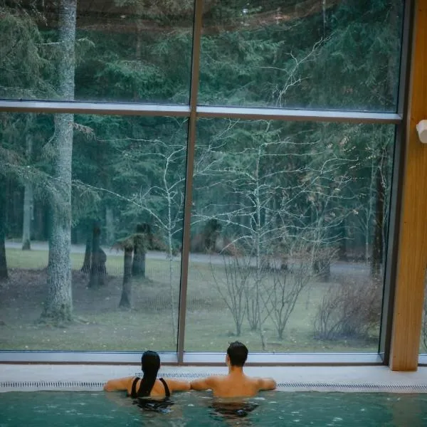 阿尼克什奇艾-维尔纽斯SPA酒店，位于阿尼克什奇艾的酒店