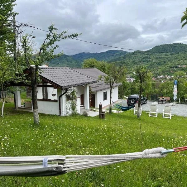 Căsuța bunicii，位于上维谢乌的酒店