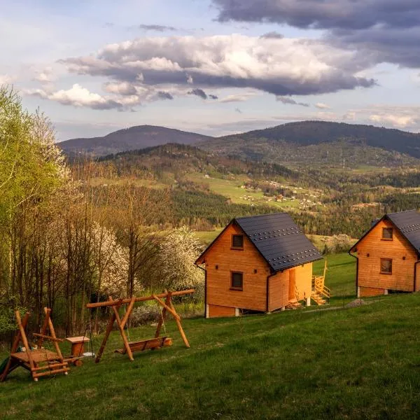Domki w Beskidach- Agroturystyka" Babiogórski pejzaż"，位于Pewel Wielka的酒店
