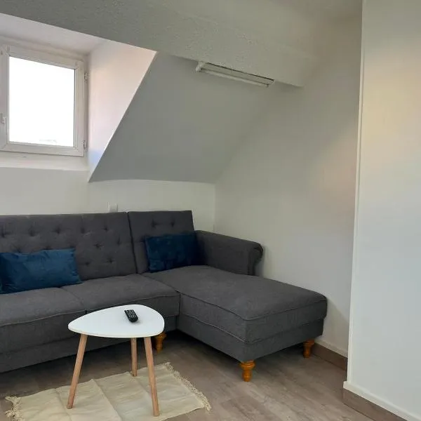 Superbe studio refait à neuf，位于蒙雷里的酒店