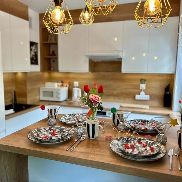 Studio Modlin，位于马佐夫舍地区新庄园的酒店