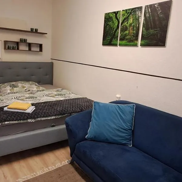 Apartment AP 1 im Zentrum Steyr, BESTROOMS eU，位于施泰尔的酒店