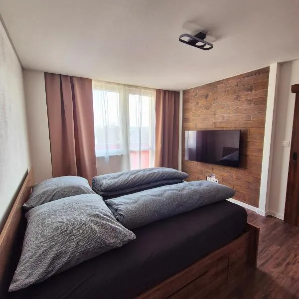 Apartmán v centre mesta Levice,Okružná，位于莱维采的酒店
