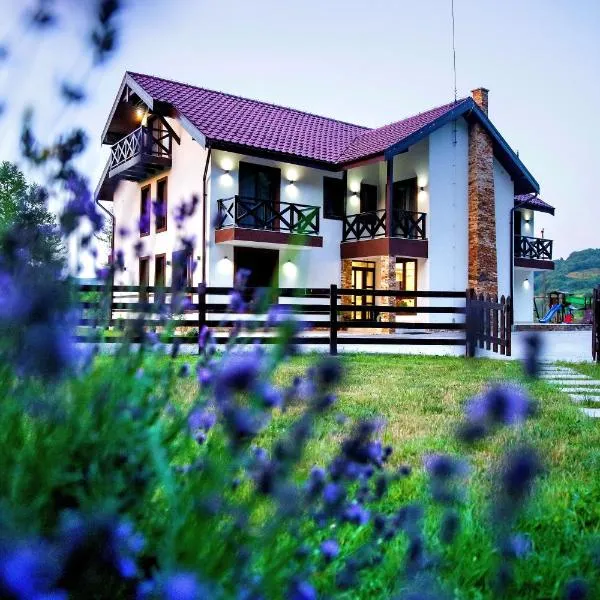 Pensiunea Lavanda，位于Bratca的酒店