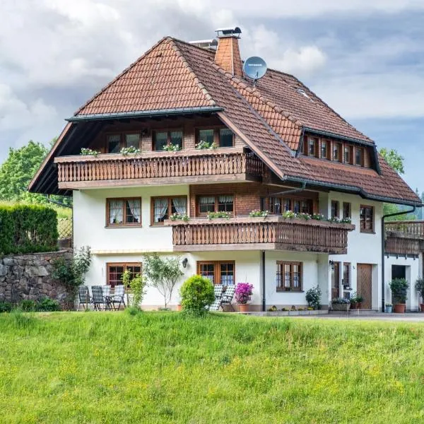 Schreinerhäusle nähe Titisee，位于Himmelreich的酒店