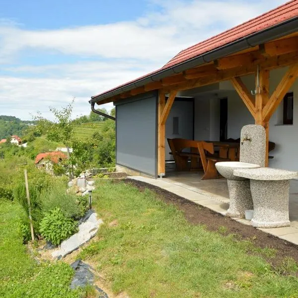 Gold Wine Estate，位于Podlehnik的酒店