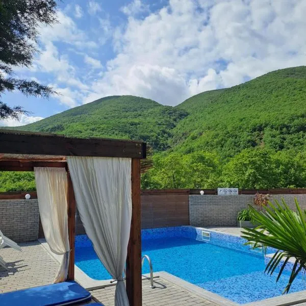Vila NIKOLA，位于Dren的酒店