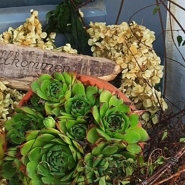Alb-Biosphäre-Ferienwohnung，位于Ingstetten的酒店