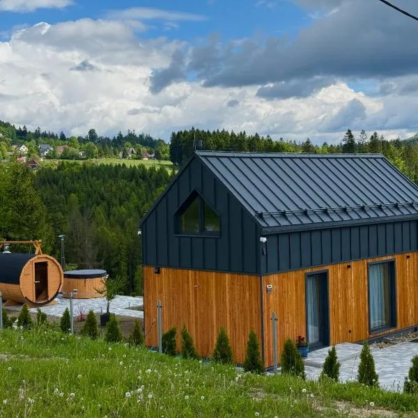 Młynarska Dolina A，位于科尼亚库夫的酒店