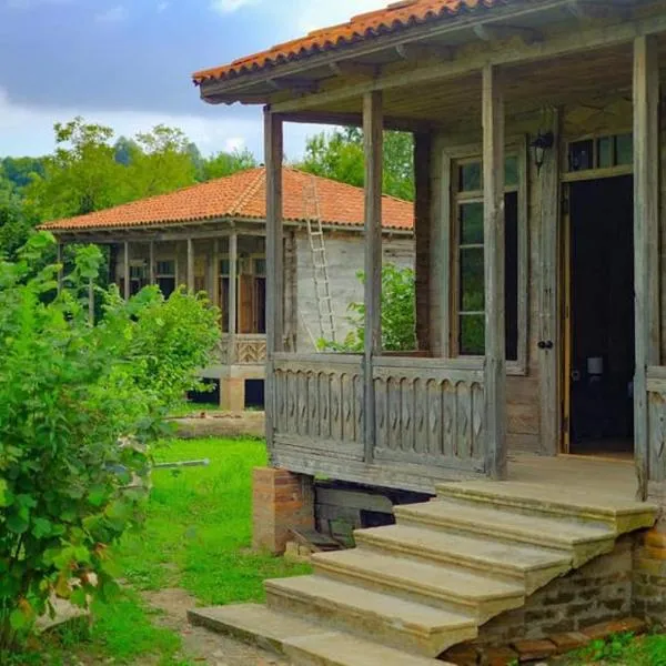 Thea's Ethnographic Guest House，位于Nap'ich'khovo的酒店