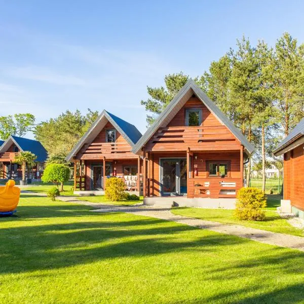 Domki OAZA，位于萨比诺瓦的酒店