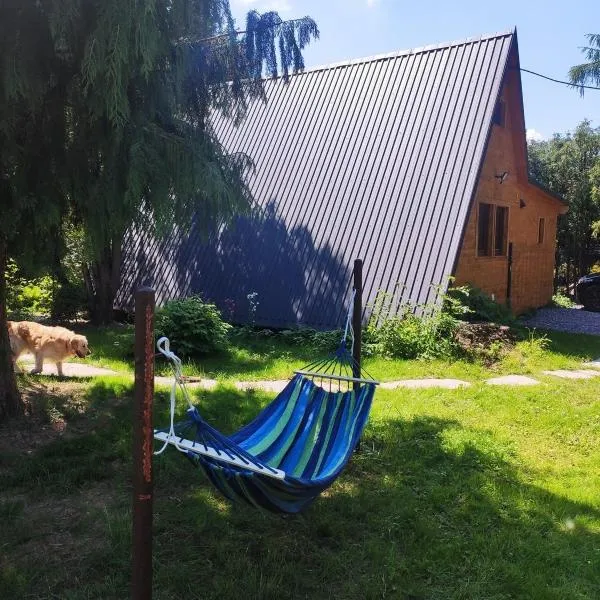 Domek Nad Koszarawą z ogrodowym jacuzzi，位于耶维克的酒店