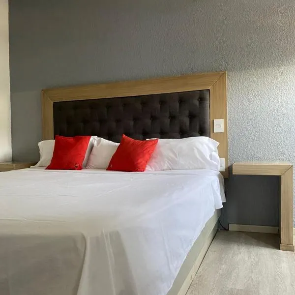 Hotel Italia, Aguascalientes，位于阿瓜斯卡连特斯的酒店