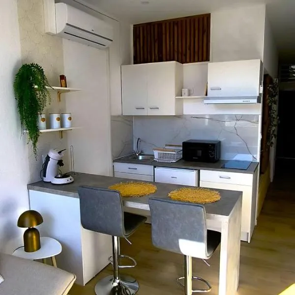 Studio neuf Climatisé et tout équipé - 3 clés vacances - hyper centre St Pierre - 3 minutes du lagon，位于圣皮埃尔的酒店