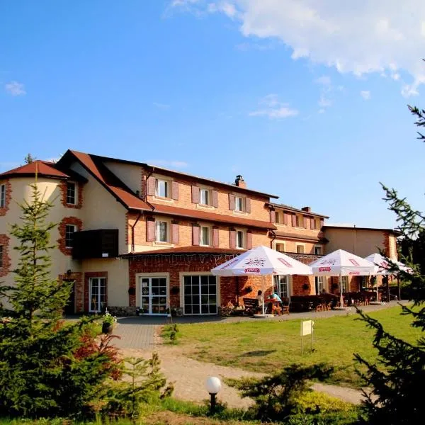 Hotelik Wulpink Majdy Olsztyn，位于Mycyny的酒店