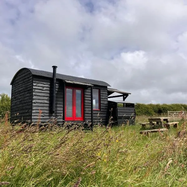 Shepherds Hut in a private meadow with sea views，位于哈特兰的酒店