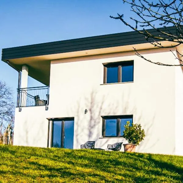 Apartment House VINARIA，位于Zgornja Ložnica的酒店