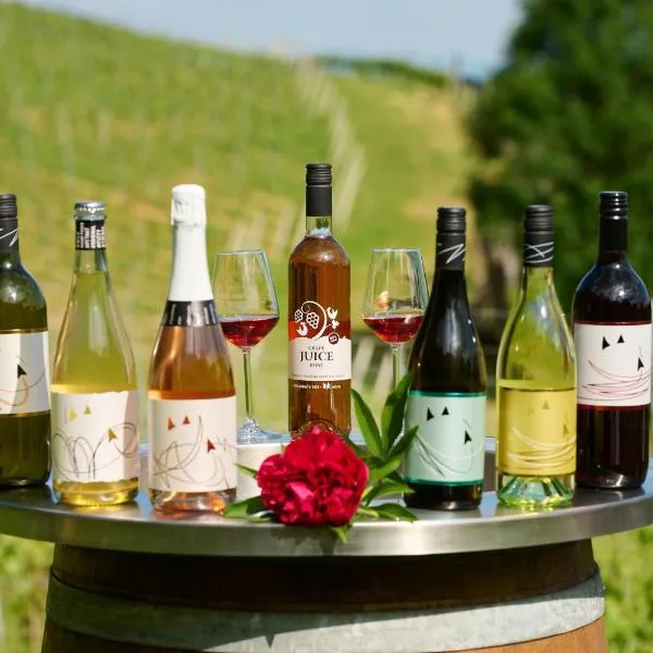 Grobelnik Tourist Farm，位于Sevnica的酒店