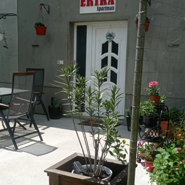 Erika Apartman，位于Szentgyörgyvölgy的酒店