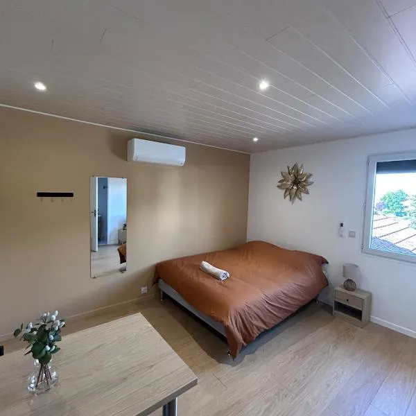 Cozy studio proche Zenith, A75 "émile"，位于奥弗涅库尔农的酒店
