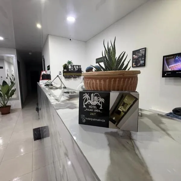 Hotel PalmaLinda，位于帕尔米拉的酒店