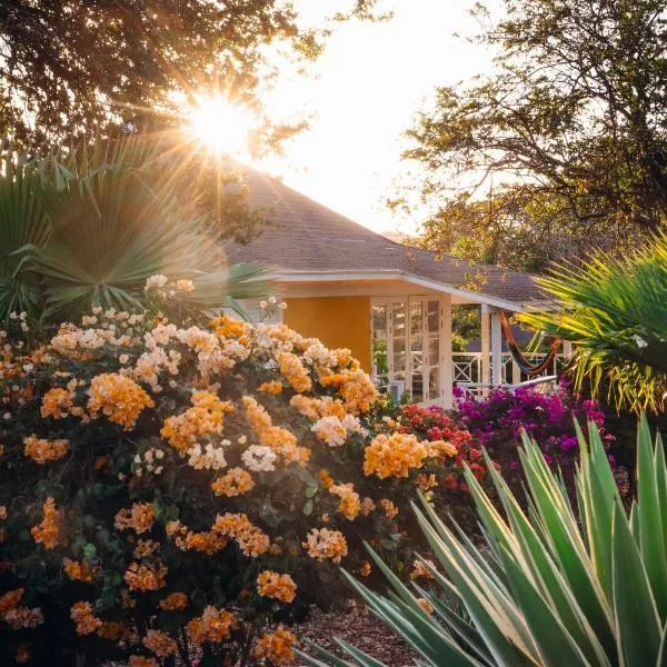 Chogogo Dive & Beach Resort Curaçao，位于简蒂埃尔的酒店