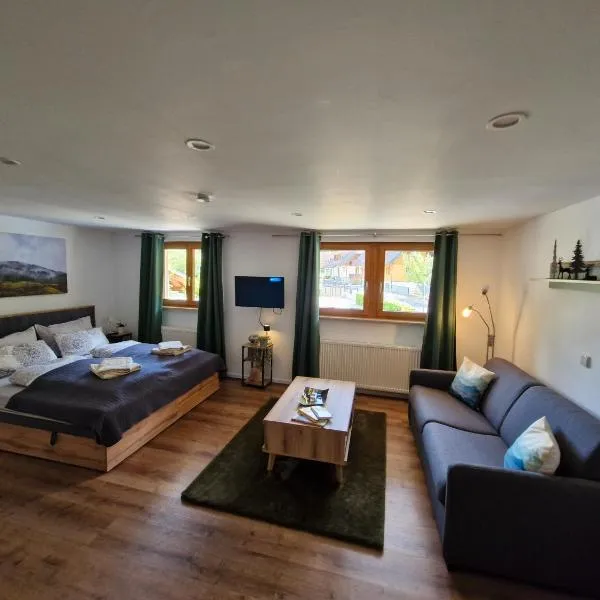 Ferienwohnung Vordere Halde，位于埃尔察赫的酒店