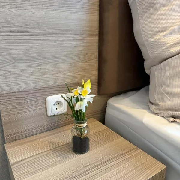 Aparthotel Emilia 24h Check-in, Free Parking and WiFi，位于巴尔格特海德的酒店
