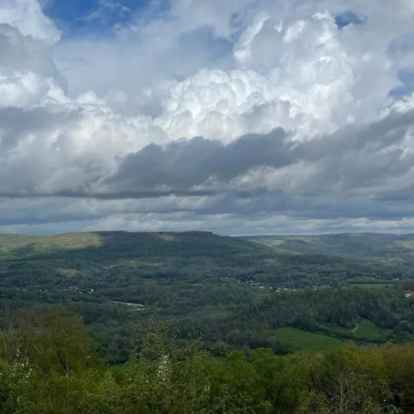 Tree Top View of lookout mountain，位于Rising Fawn的酒店