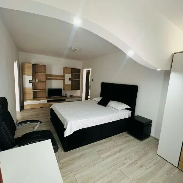Apartament Tudorache Premium 1，位于Turceni的酒店