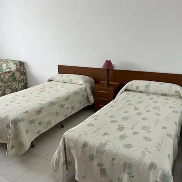 Hostal Delfino，位于Bardaos的酒店