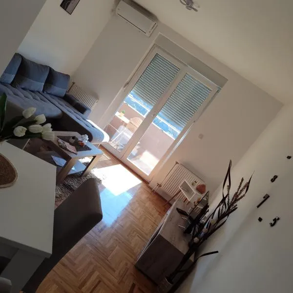 Apartman N&L，位于松博尔的酒店