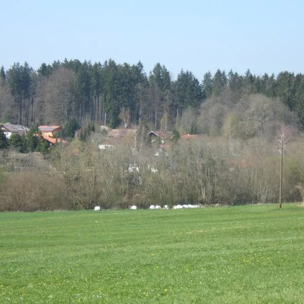 施瓦霍公寓，位于Kleinschönach的酒店