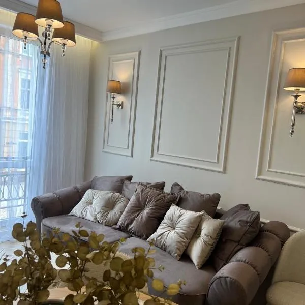 Family & Business Sauna Apartments Sienkiewicza No1 Centrum Plac Lliteratów- Piękny Apartament - 1 Bedroom with Private Sauna, Bath with Hydromassage, Parking，位于凯尔采的酒店