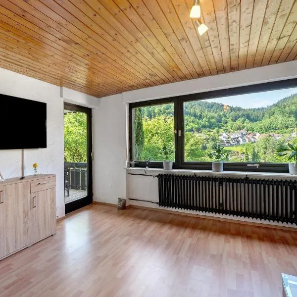 Ferienwohnung Am Lehen Schiltach，位于希尔塔赫的酒店