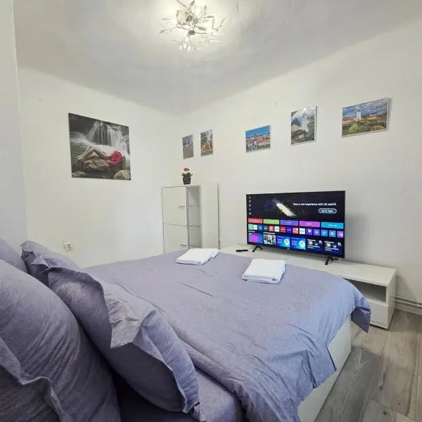 Teglas Apartment，位于梅迪亚什的酒店