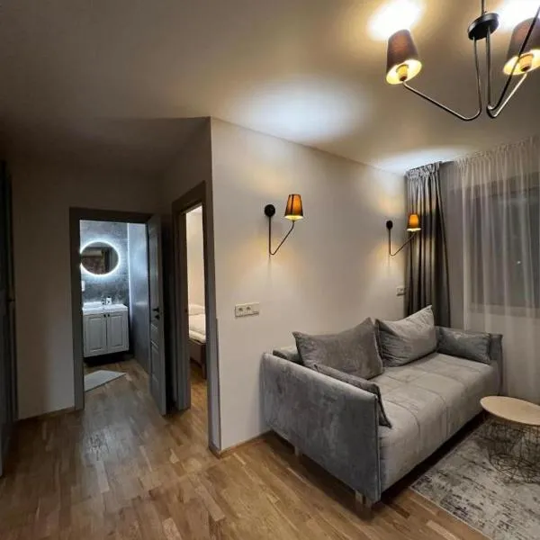 Saules apartment Klaipeda，位于克莱佩达的酒店