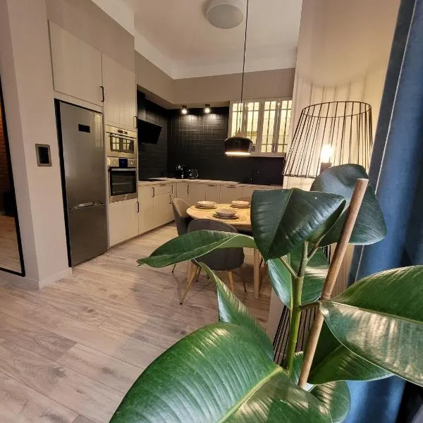 BoleslaviaApartments - Apartament Simon 2, Center, air conditioning，位于博莱斯瓦维茨的酒店