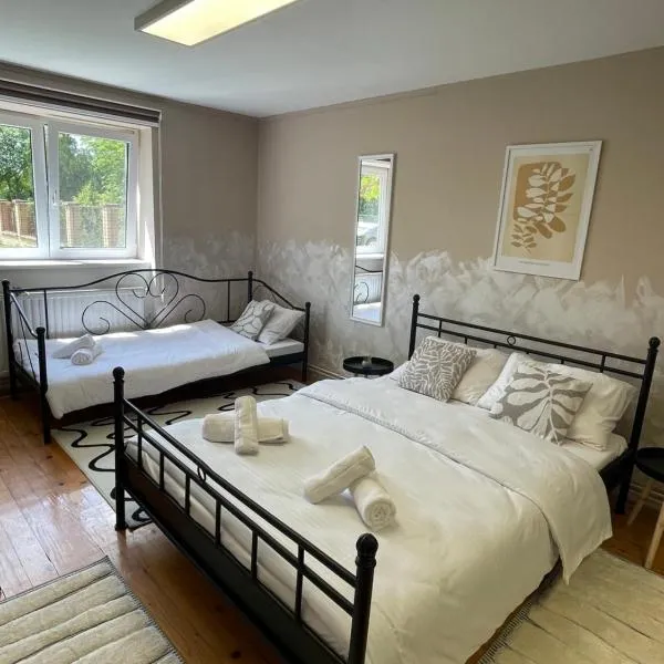 Apartman Rooster，位于Srbobran的酒店
