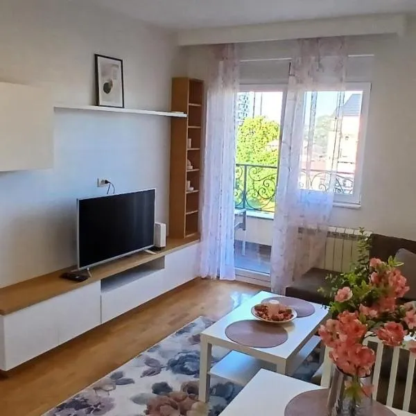 Miletić Lux，位于Zemun的酒店
