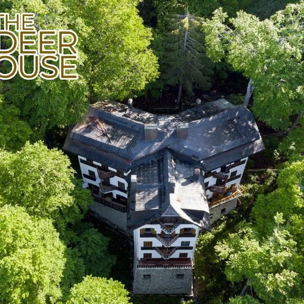 Le Case Nel Bosco Terminillo，位于泰尔米尼洛的酒店