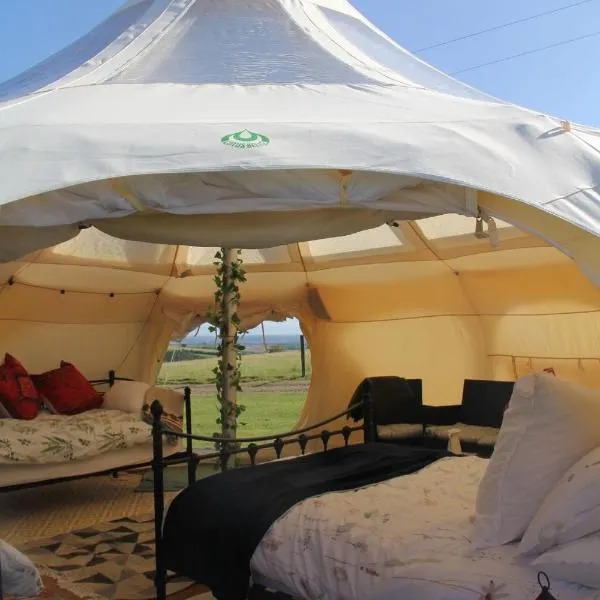 Tal-y-fan farm 6m stargazer tent，位于布里真德的酒店