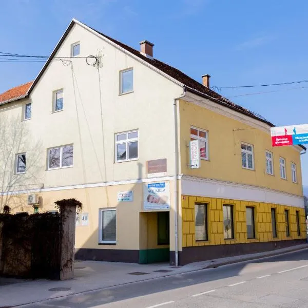 Apartma Pri Kosu，位于斯洛文尼亚比斯特里察的酒店