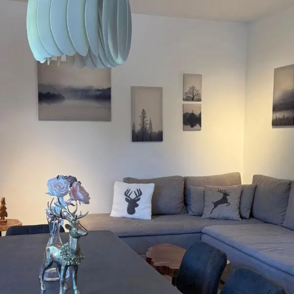 Vila Mojca SKI IN&OUT - Apartmaji Lena，位于克拉尼斯卡戈拉的酒店
