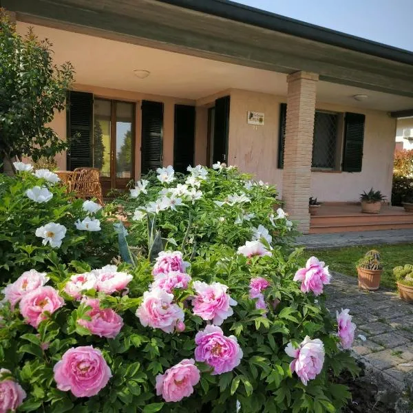 Bed and Breakfast La Contessa，位于Santo Stefano的酒店