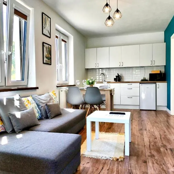Apartamenty Jodłowa - bilard - bawialnia - królikarnia，位于Krajno-Zagórze的酒店