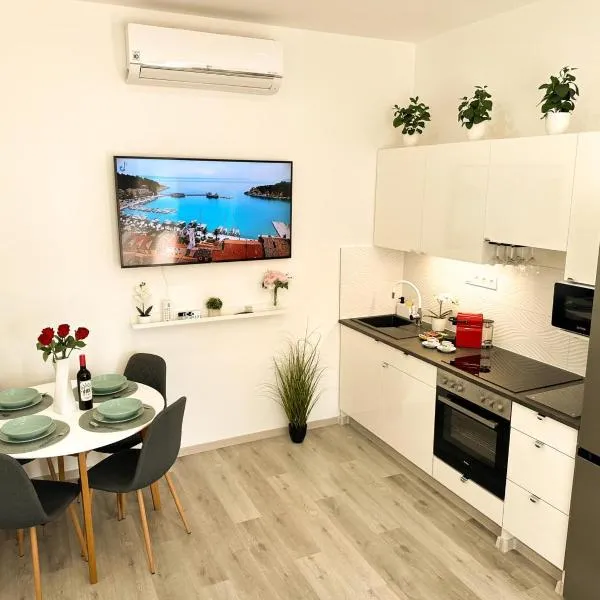 VIBE S31 Apartman ,AC,Free Parking，位于塞克希费黑瓦尔的酒店
